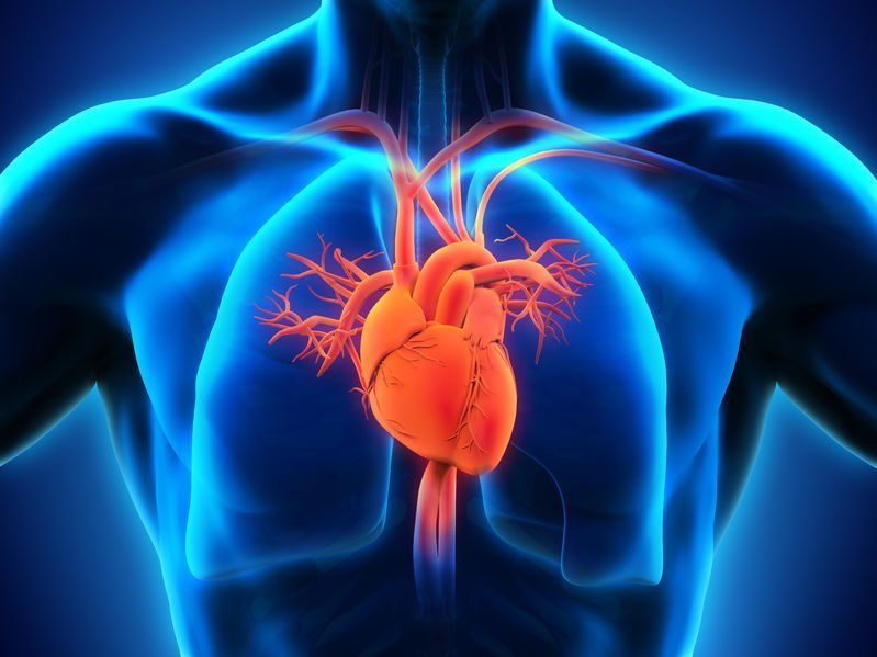 Cardiac Diagnostics